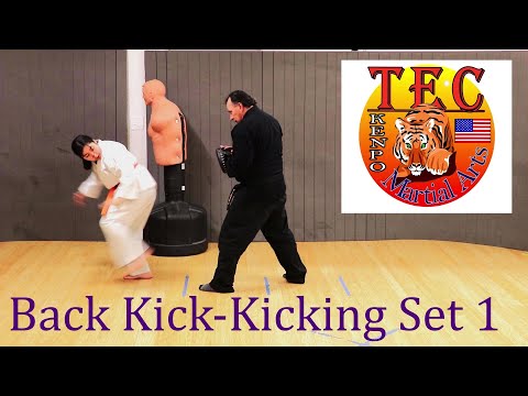 Kenpo Karate - Kicking Set 1 (Back Kick)