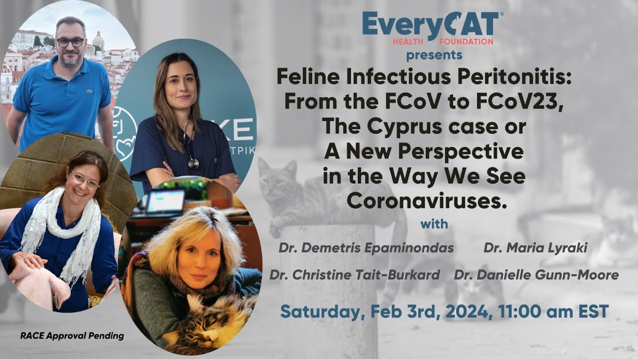 FIP: From the FCoV to FCoV23, The Cyprus Case, or A New Perspective in the Way We See Coronaviruses.