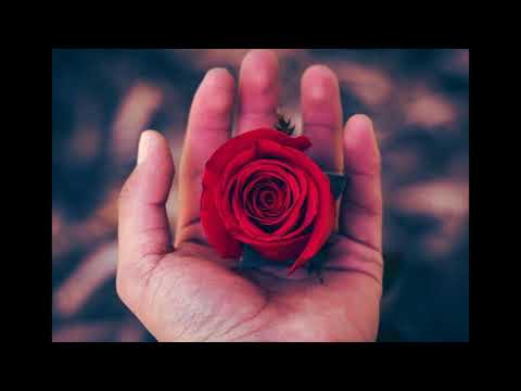 ❤RoMaNe GiLa ToMaS BoTlo❤