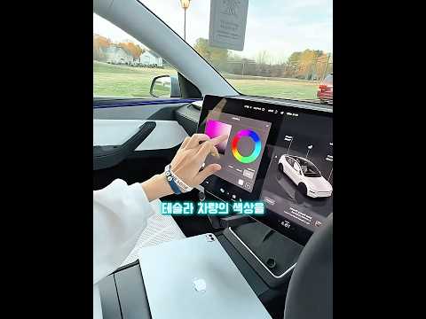 테슬라 색상 체인지!🚘