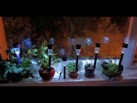 The Story of the Streetlights