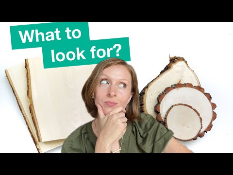 [Beginners Guide] 7 Tips How to Choose the Best Wood for Wood Burning