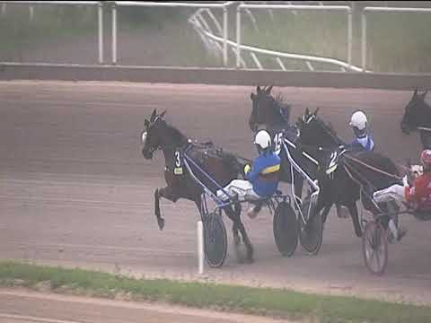 Trotto 22/04/2019 - 8ª corsa