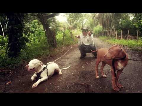 Polo Flama - L.O.V.E. - (Official Music Video) Dir by DTF Productions