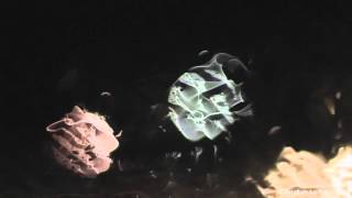 Christian Loffler - Blind