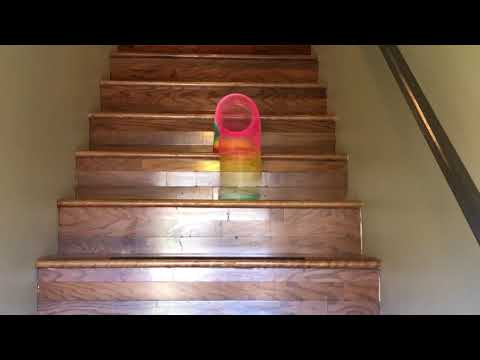 Giant Slinky Going down stairs