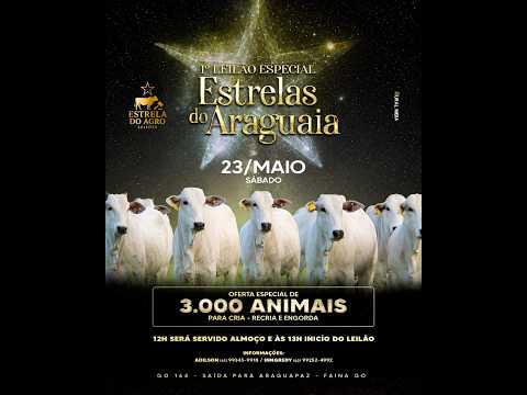 1º LEILÃO ESPECIAL ESTRELAS DO ARAGUAIA FAINA-GO 23/05/2026 | Leilão ao Vivo -