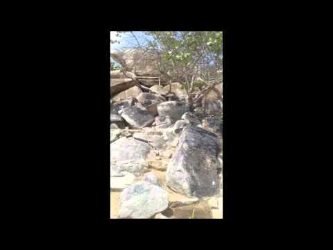 Mc Chops 101 Bisinja nn juda mi    Only 4 Adults