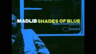 Madlib - Stepping Into Tomorrow