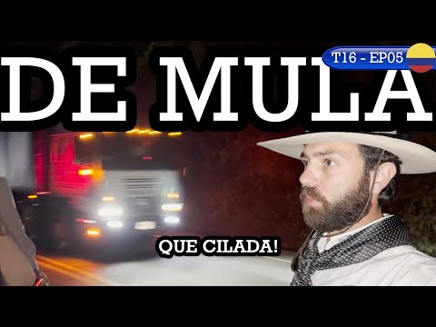 RISK IN THE DARKNESS ON THE BACK OF A MULE