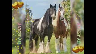 Y FUE LA ULTIMA VEZ/ GRUPO LABERINTO.