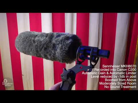 Sennheiser MKH 70 P48 Professional Microphone image 8