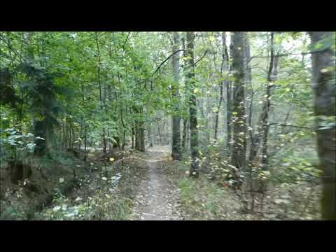 Heimtrainer Video: Kothbrunngraben zwischen Buchenbühl und Kraftshof