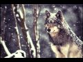 J. Tillman - With Wolves (Sub. Español)
