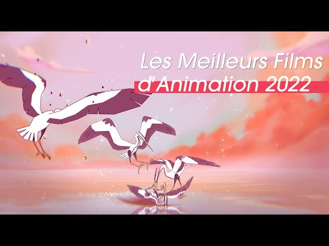 ECV ANIMATION - TEASER COURTS MÉTRAGES 2022