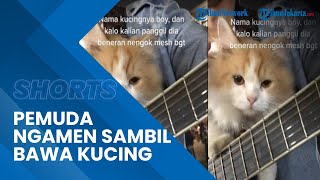 Viral Video Pengamen Bawa Kucing sambil Nyanyi, Perekam Salah Fokus dan Salut: Nurut Banget
