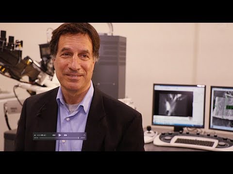 Professor's Research Could Lead to a New Paradigm in Super Capacitors