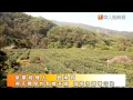 有機烏龍茶聖殿　堅持地利是關鍵！