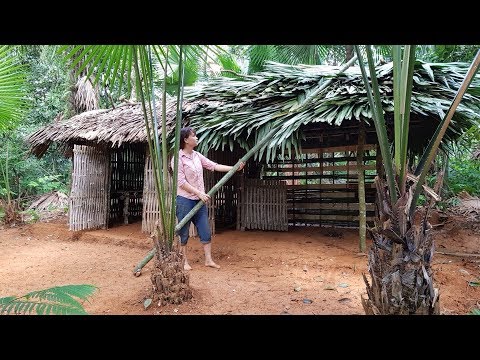 Primitive Technology Building a hut for cooking kitchen hut Primitive Hut