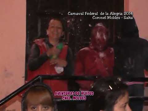 AÑO 2014 CORSOS MOLDEÑOS-  CARNAVAL SALTEÑO