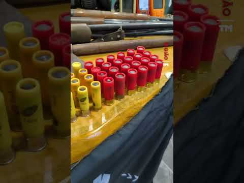 Seis pessoas são flagradas em caça ilegal de javaporcos; PM apreende armas e materiais