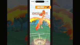 ▶️ Moltres Dynamax Wing Attacks | Sunshine Cup | #pokemon #pokemoncards #pokemontcg #pokemongo #pvp