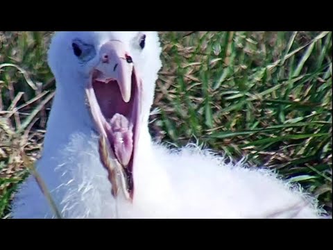 Close up from a yawning Girl with a fly on her nose 😁~9:14 am 2021/03/11