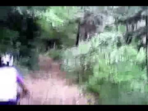 All'ombra nel bosco verso Cerro Veronese