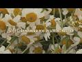 Waylon Wyatt In Loving Melody Official Lyric Video