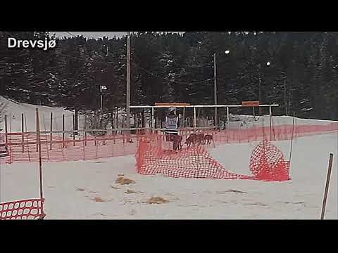 Femundløpet Leif Tore Lie