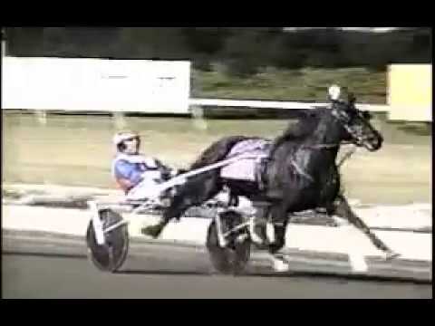 2005 Meadowlands MY LITTLE DRAGON Breeders Crown 2YO Filly Pace Final Ron Pierce