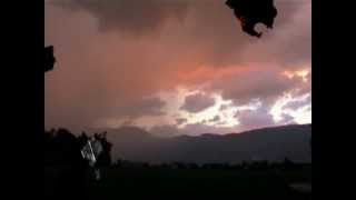 The Damned Angels (Trailer)