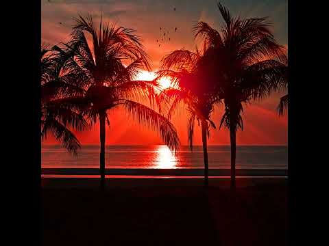 DJ Diass feat. silvia - wicked game (original mix)