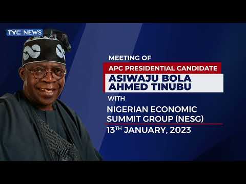 Full Video | Tinubu Meets Nigerian Economic Summit Group, Promises Private Sector-Driven Economy
