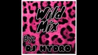 Electro House/Melbourne Bounce 2013 Mix (Wild Mix)-DJ HYDRO