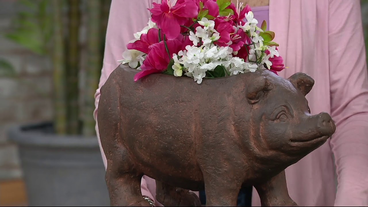 Brown Resin Piggy Planter on QVC