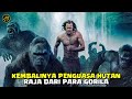 TERJADINYA PERANG BESAR ANTARA HEWAN VS MANUSIA Alur Cerita FIlm THE LEGEND OF TARZAN 2016