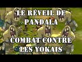 DOFUS Combat Contre Les Yokaïs À La Croisée Des Mondes Quête Du Domakuro Pandala
