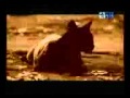 SSS HHHH KOI HAI Title Song From F M K