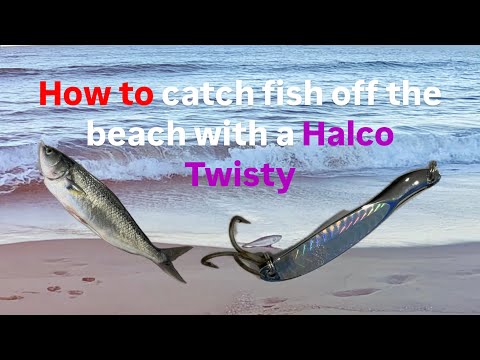 How to catch a fish off the beach with a Halco Twisty Lure