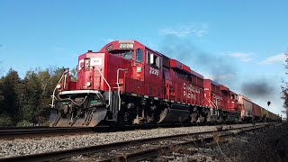 CP G62 and CP 2-231 westbound at Bedell, Ontario. October 12, 2025.