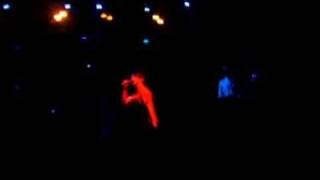 The Rakes - We are all animals