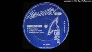 B1 - Dimension - Phenomena