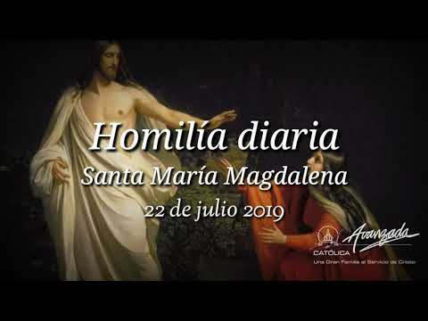 Homilía diaria - Santa María Magdalena - 22/07/2019