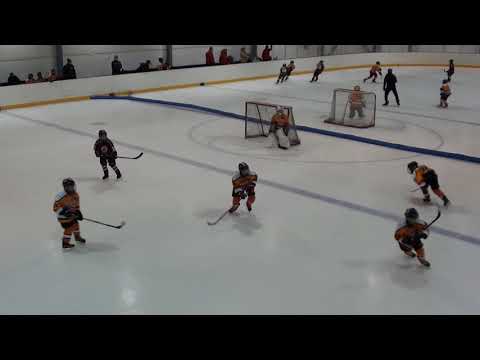 Kurra 08- Karhu-Kissat 08   11/17