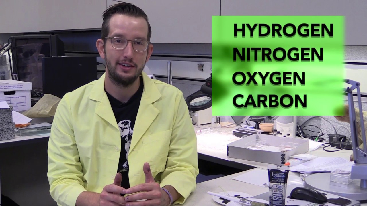 How does a fossil become a fossil?