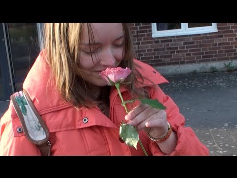 Anja Torstadius - Samma gamla visa [Official Music Video]