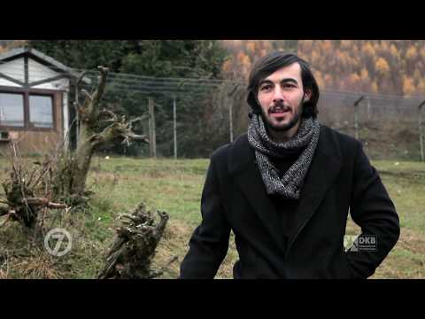 Der Iraner Pouya Norouzi mischt die Handball-Bundesliga auf