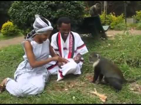 Aman Gobana - Daawwitii haqaa (Oromo Music)