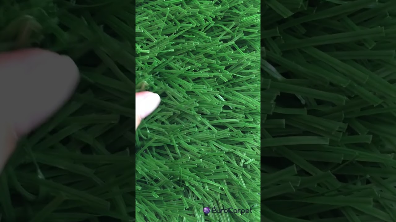 CCGrass CE20